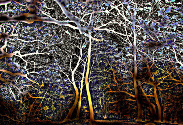 Photographie intitulée "Les racines du ciel" par Michel Guillaumeau, Œuvre d'art originale, Photographie manipulée