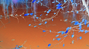 Photographie intitulée "Notes bleues" par Michel Guillaumeau, Œuvre d'art originale, Photographie manipulée