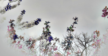 Photographie intitulée "Fleurs d'hiver" par Michel Guillaumeau, Œuvre d'art originale, Photographie manipulée