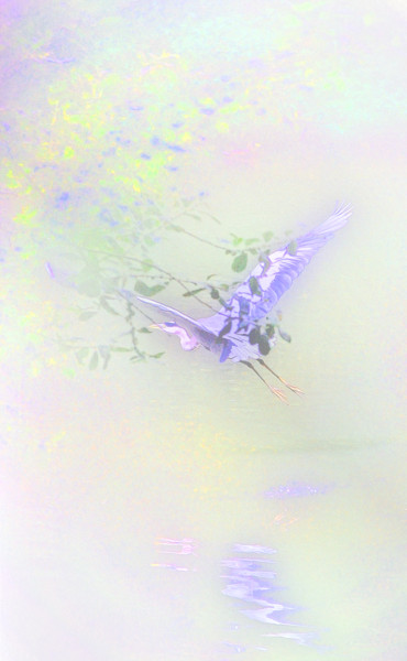 Fotografia intitulada "L'oiseau de lumiére" por Michel Guillaumeau, Obras de arte originais, Fotografia Manipulada