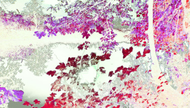 Photographie intitulée "Infra Rouge" par Michel Guillaumeau, Œuvre d'art originale, Photographie numérique