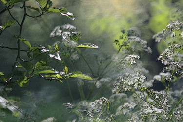 Photographie intitulée "Coeur de forêt" par Michel Guillaumeau, Œuvre d'art originale, Photographie manipulée
