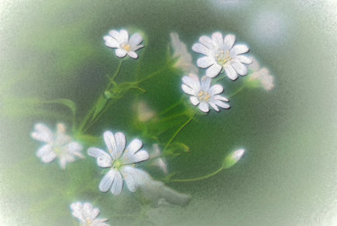 Photographie intitulée "Petit matin d'avril" par Michel Guillaumeau, Œuvre d'art originale, Photographie numérique