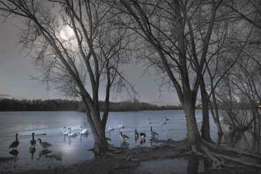 Photographie intitulée "Clair de Lune" par Michel Guillaumeau, Œuvre d'art originale, Photographie numérique