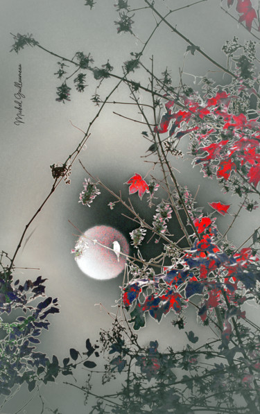 Цифровое искусство под названием "Estampe chinoise" - Michel Guillaumeau, Подлинное произведение искусства, Цифровая живопись