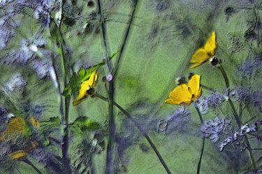 Arte digital titulada "Fleurs des prés (co…" por Michel Guillaumeau, Obra de arte original, Pintura Digital