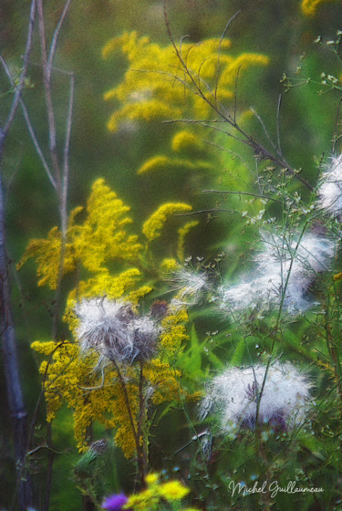 Photographie intitulée "Sublime Nature" par Michel Guillaumeau, Œuvre d'art originale, Photographie numérique