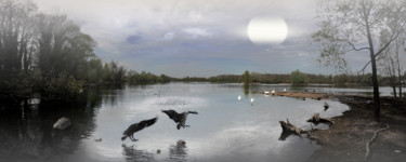 Fotografia zatytułowany „Ballet nocturne” autorstwa Michel Guillaumeau, Oryginalna praca, Fotografia cyfrowa