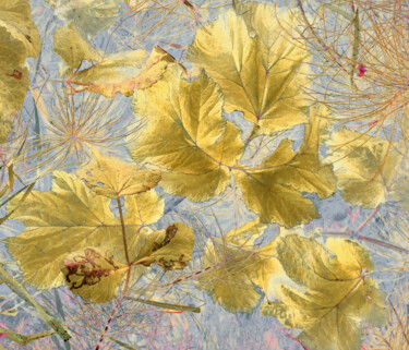Photographie intitulée "Bourrasque d'automne" par Michel Guillaumeau, Œuvre d'art originale, Photographie numérique