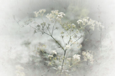 Photographie intitulée "Pureté" par Michel Guillaumeau, Œuvre d'art originale, Photographie manipulée