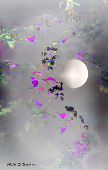 Artes digitais intitulada "Lune de printemps" por Michel Guillaumeau, Obras de arte originais, Pintura digital