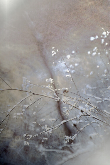 Fotografía titulada "Il neige..." por Michel Guillaumeau, Obra de arte original, Fotografía digital