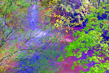 Digital Arts titled "Vert Paradis" by Michel Guillaumeau, Original Artwork, Digital Painting