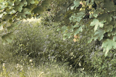 摄影 标题为“Généreuse Nature” 由Michel Guillaumeau, 原创艺术品, 数码摄影