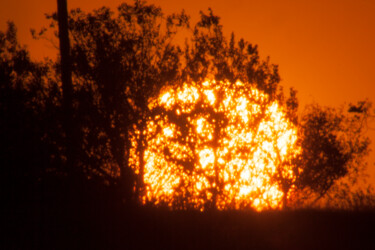 Fotografie mit dem Titel "Sunset behind the t…" von Anatoly Rudakov, Original-Kunstwerk, Digitale Fotografie
