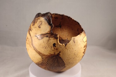 Skulptur mit dem Titel "Hollow form - spalt…" von Ruben Verschueren, Original-Kunstwerk, Holz
