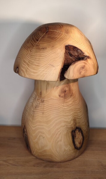 Escultura intitulada "Robinia mushroom" por Ruben Verschueren, Obras de arte originais, Madeira
