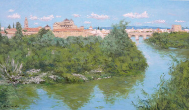 Peinture intitulée "Paisaje de Córdoba" par Rubén De Luis, Œuvre d'art originale, Huile Monté sur Châssis en bois