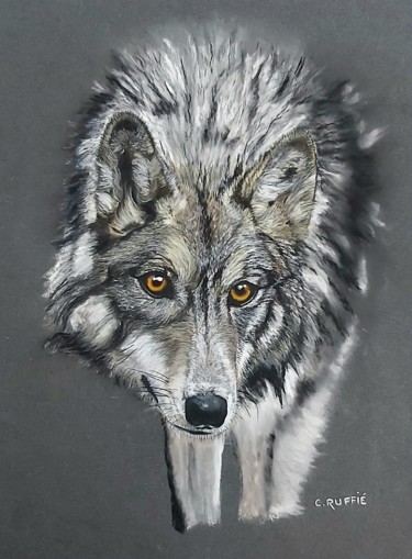 Painting titled "Loup" by Christian Ruffie, Original Artwork, Pastel
