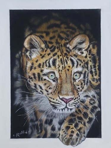 Painting titled "Léopard" by Christian Ruffie, Original Artwork, Pastel