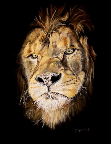 Peinture intitulée "Lion" par Christian Ruffie, Œuvre d'art originale, Pastel