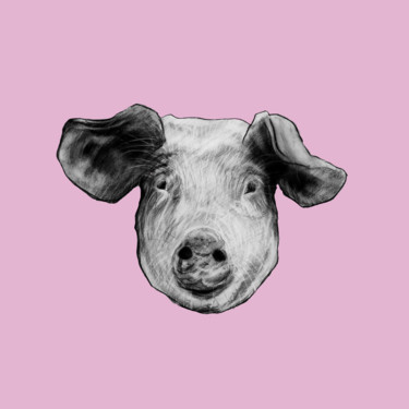 Tekening getiteld "pig" door Rupert Cefai, Origineel Kunstwerk, Houtskool