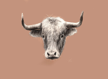 Tekening getiteld "anim¦bull 22.098" door Rupert Cefai, Origineel Kunstwerk, Houtskool