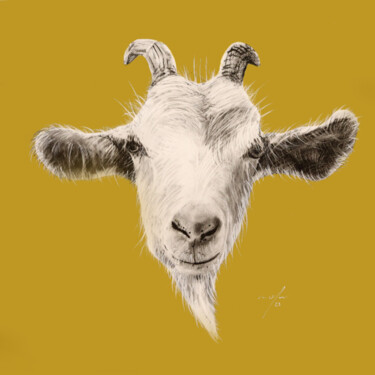 Disegno intitolato "anim ¦ goat" da Rupert Cefai, Opera d'arte originale, Carbone