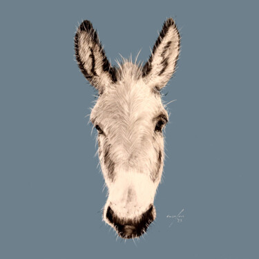 Рисунок под названием "anim ¦ donkey" - Rupert Cefai, Подлинное произведение искусства, Древесный уголь