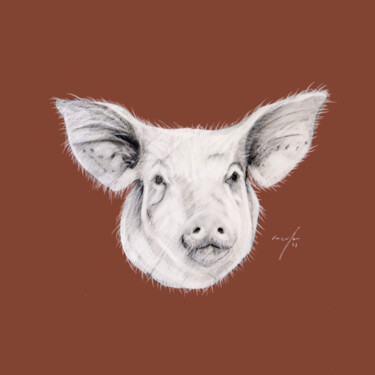 Drawing titled "anim ¦ pig" by Rupert Cefai, Original Artwork, Charcoal