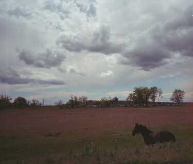 Photography titled "Horse" by Ruslan Aboev, Original Artwork, Analog photography
