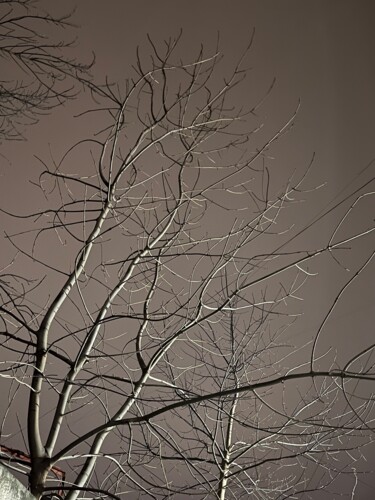 Photographie intitulée "Grey" par Ruslan Aboev, Œuvre d'art originale, Photographie numérique