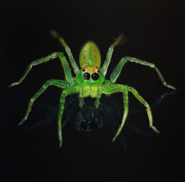 Malarstwo zatytułowany „Spider” autorstwa Ruslan Kolomiyets, Oryginalna praca, Olej Zamontowany na Drewniana rama noszy