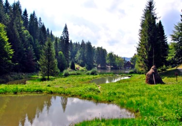 Fotografía titulada "The Carpathians mou…" por Olena Parkhomenko, Obra de arte original