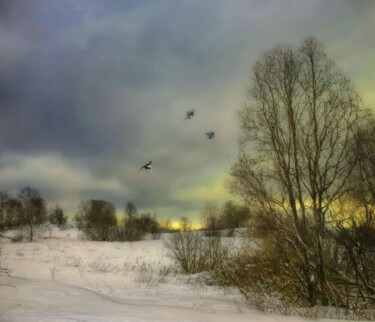 Fotografie mit dem Titel "Not very cold Febru…" von Rustle Extreme, Original-Kunstwerk, Digitale Malerei