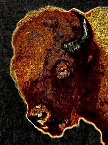 Digital Arts titled "buffalo-head-abstra…" by Ruta Sevo, Original Artwork