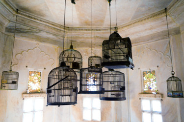 Fotografie getiteld "Birdcage collection…" door Ruud Kimmelaar, Origineel Kunstwerk, Digitale fotografie