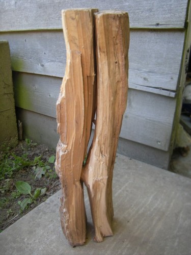 Sculpture titled "prim 2" by Ruz Forest, Original Artwork, Wood