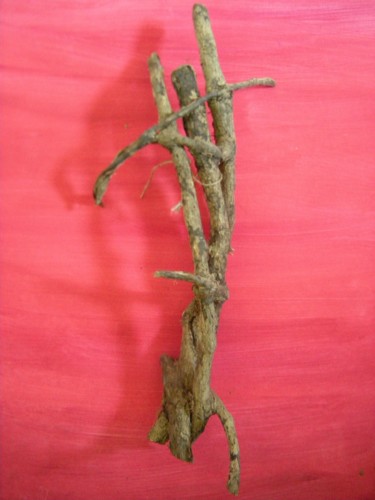 Sculpture titled "Ivy 1" by Ruz Forest, Original Artwork, Wood