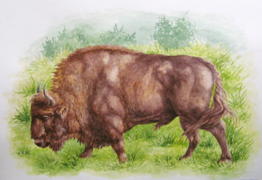 Картина под названием "Bison" - Vladimir Rassomasov, Подлинное произведение искусства, Акварель