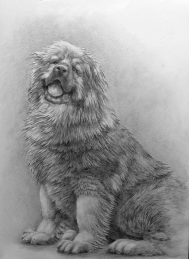 Drawing titled "img-3602.jpg" by Vladimir Rassomasov, Original Artwork, Pencil