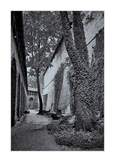 Photography titled "Brick canyon" by Ryszard Stelmachowicz, Original Artwork, Digital Photography