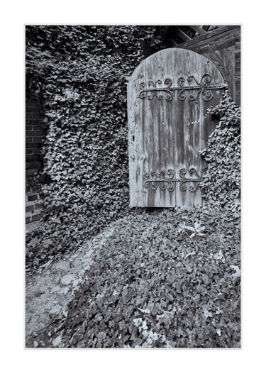 Photography titled "The door to the wor…" by Ryszard Stelmachowicz, Original Artwork, Digital Photography