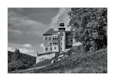 Fotografia zatytułowany „Widok na zamek w Pi…” autorstwa Ryszard Stelmachowicz, Oryginalna praca, Fotografia nie manipulowana