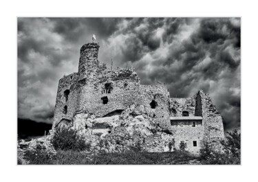 Fotografia zatytułowany „Zamek w Mirowie” autorstwa Ryszard Stelmachowicz, Oryginalna praca, Fotografia nie manipulowana