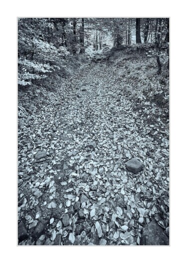 Fotografie getiteld "Jesienią pod górę" door Ryszard Stelmachowicz, Origineel Kunstwerk, Digitale fotografie