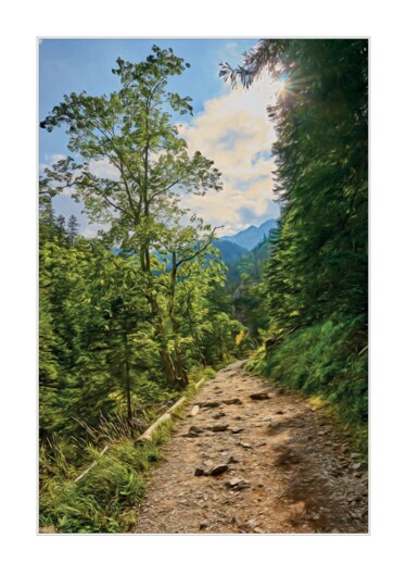 Fotografie getiteld "Ścieżka w Dolinie B…" door Ryszard Stelmachowicz, Origineel Kunstwerk, Digitale fotografie