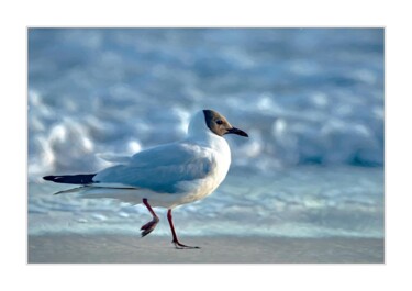 Fotografia zatytułowany „Poranny jogging” autorstwa Ryszard Stelmachowicz, Oryginalna praca, Fotografia cyfrowa