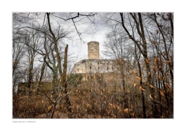 Fotografia zatytułowany „Pośród zarośli” autorstwa Ryszard Stelmachowicz, Oryginalna praca, Fotografia cyfrowa