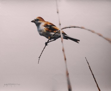 Ζωγραφική με τίτλο "sparrow bird" από Sudipta Karmakar, Αυθεντικά έργα τέχνης, Ακουαρέλα